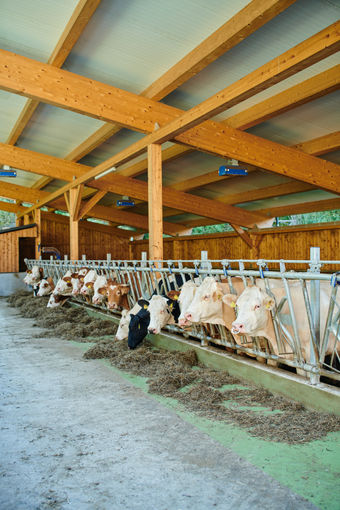 Goritschnig Manfred_(C)_Arnold_Poeschl_NWK__2020_1210_klein.jpg © Landwirtschaftskammer OÖ