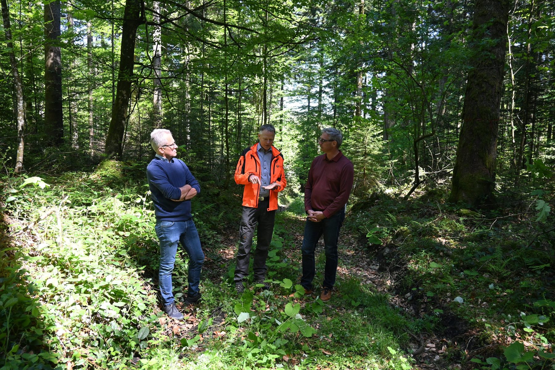Staatsforsten_LK OÖ_Frei (167).jpg © Landwirtschaftskammer OÖ