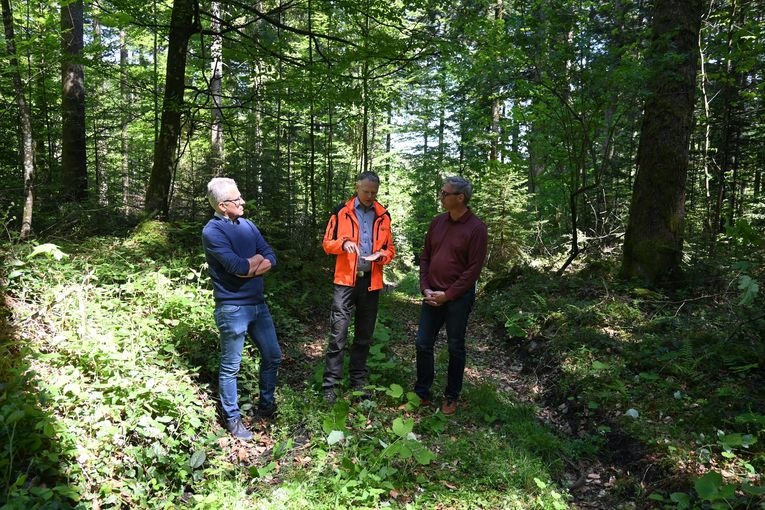 Staatsforsten_LK OÖ_Frei (167).jpg © Landwirtschaftskammer OÖ