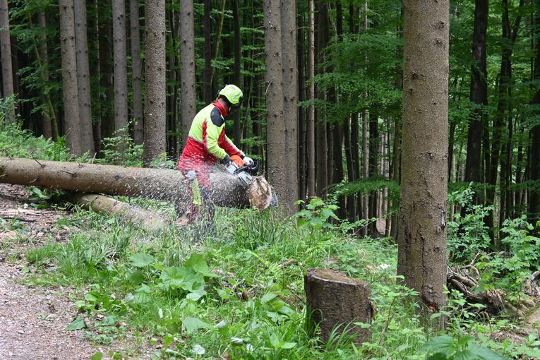 Kaltenbrunner LK OÖ_Frei (249).jpg © Landwirtschaftskammer OÖ