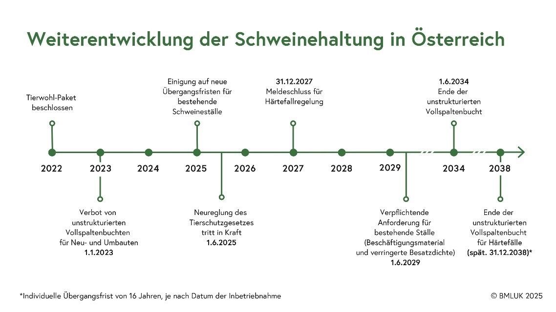 Weiterentwicklung Schweinehaltung Ö.jpg © BMLUK