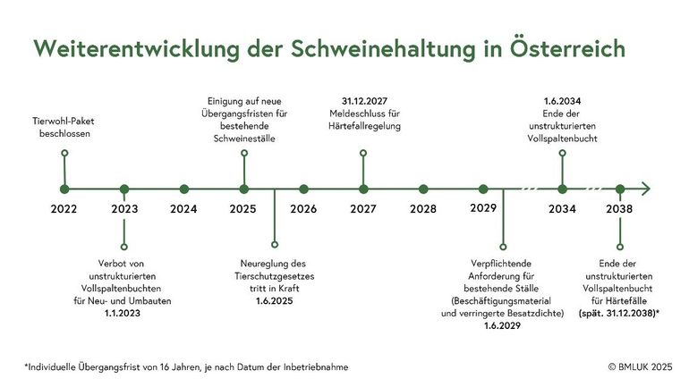 Weiterentwicklung Schweinehaltung Ö.jpg © BMLUK