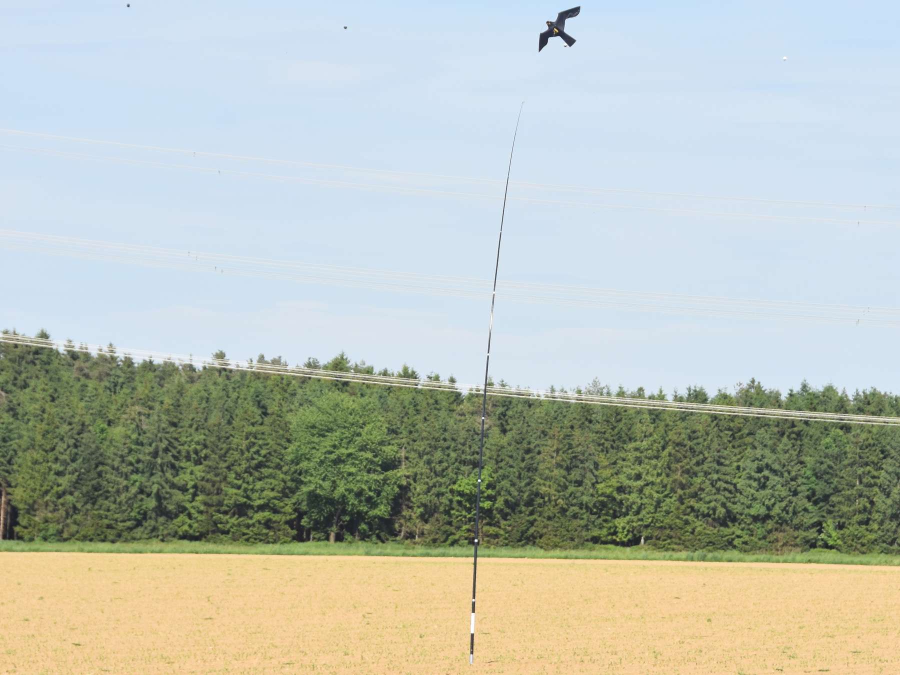 Vogelscheuche.jpg © LK OÖ/Köppl
