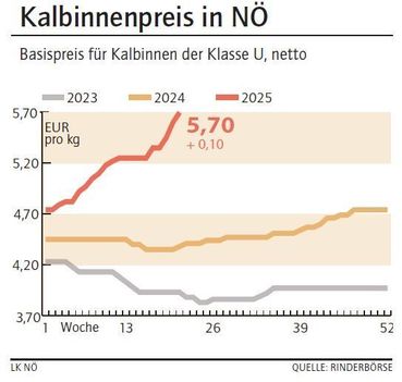 Grafik Kalbinnenpreis 21_2025.jpg © LK NÖ
