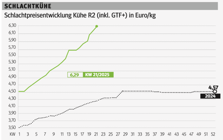 Schlachtkuhgrafik KW 21.png © Grafik RZV