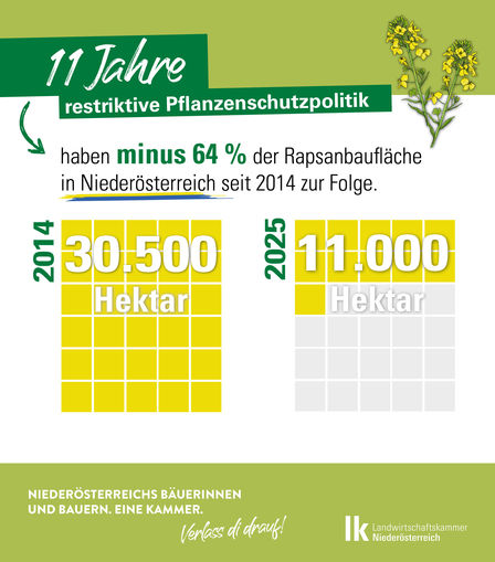 2025-05-20_Infografik_Raps.jpg © LK Niederösterreich