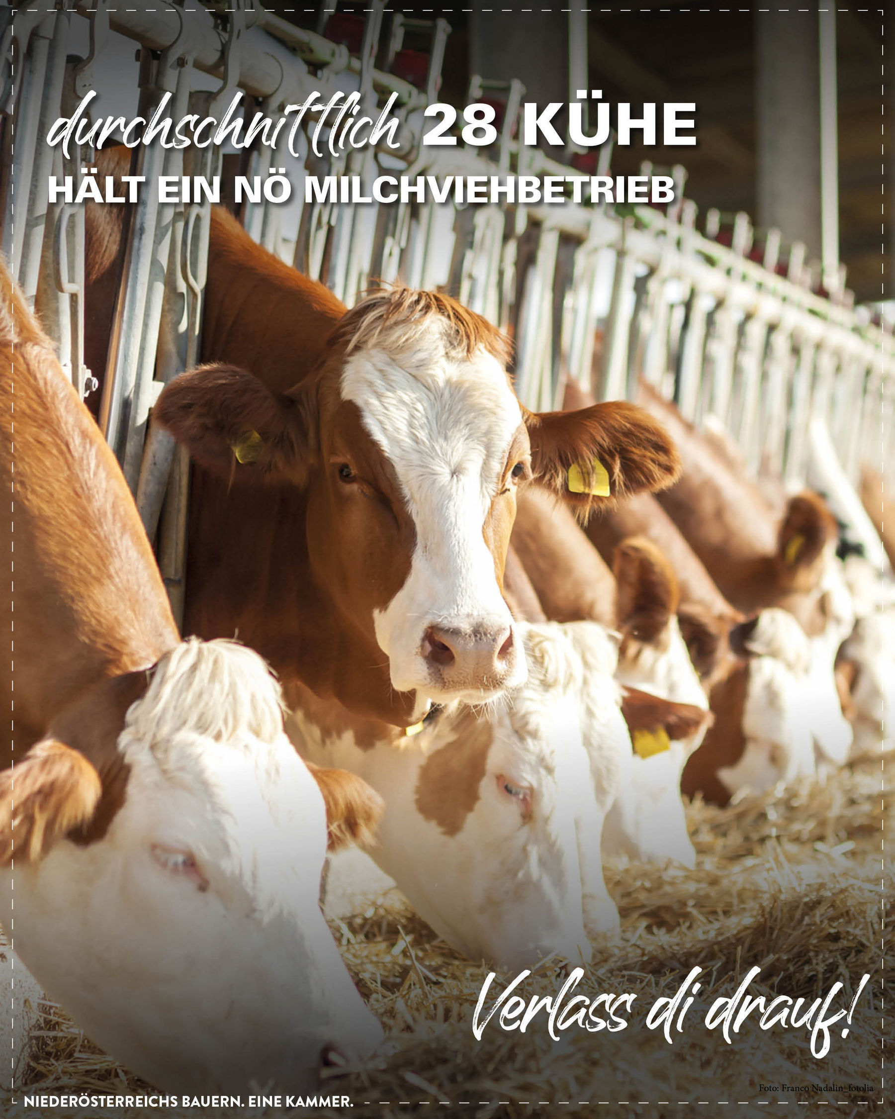 © LK Niederösterreich © LK Niederösterreich