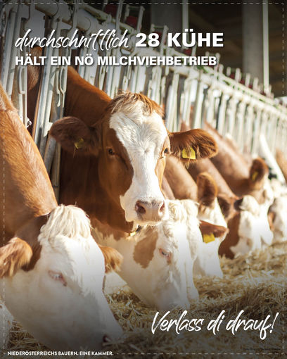 © LK Niederösterreich © LK Niederösterreich