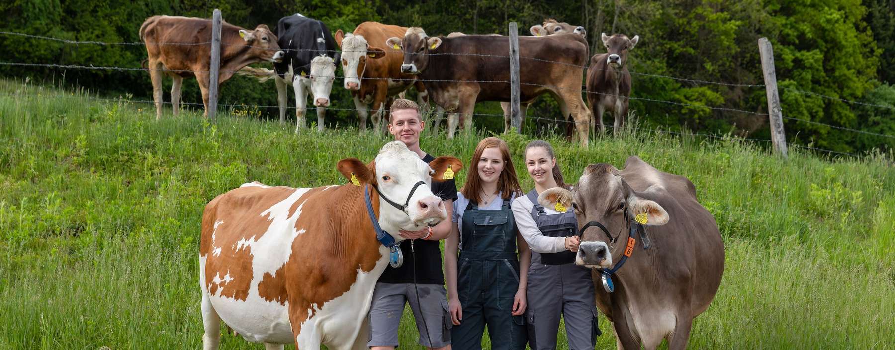 HBLA Pitzelstätten 2019-05-08_1182_LW.jpg © HBLA Pitzelstätten HBLA Pitzelstätten 2019-05-08_1182_LW.jpg © HBLA Pitzelstätten
