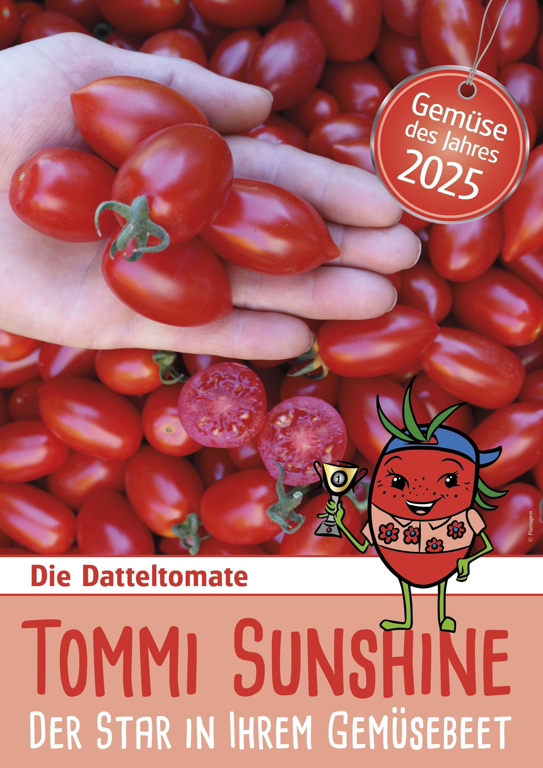 Tommi Sunshine_.jpg © Kärntner Gärtner