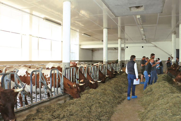 Im Herzen der bayerischen Pinzgauerzucht.jpg © Sendlhofer
