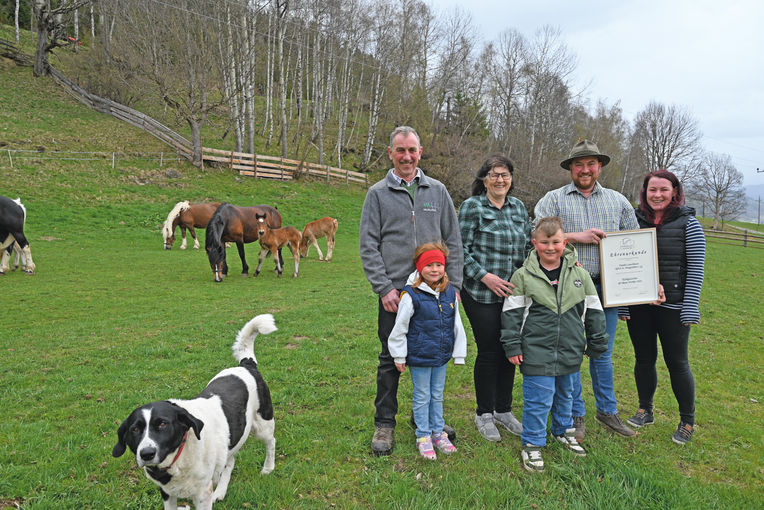 Esslhof zum Erfolgszüchter der Noriker ernannt.jpg © Mooslechner