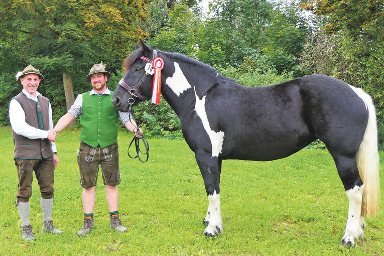 Esslhof zum Erfolgszüchter der Noriker ernannt.jpg © Mooslechner
