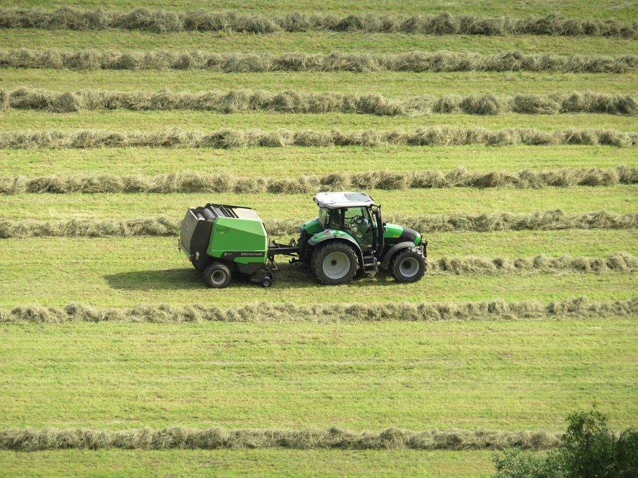 field-6536816_1280.jpg © pixabay