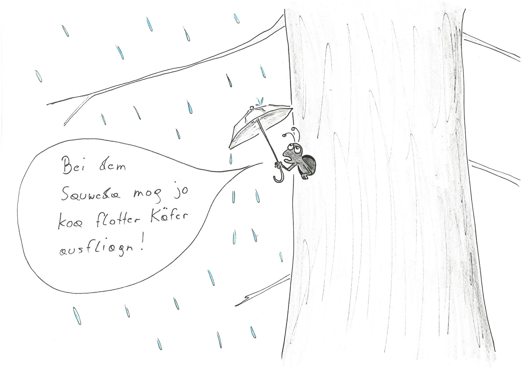 Borkenkäfer.jpg © Mitterwallner