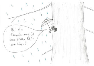 © Mitterwallner