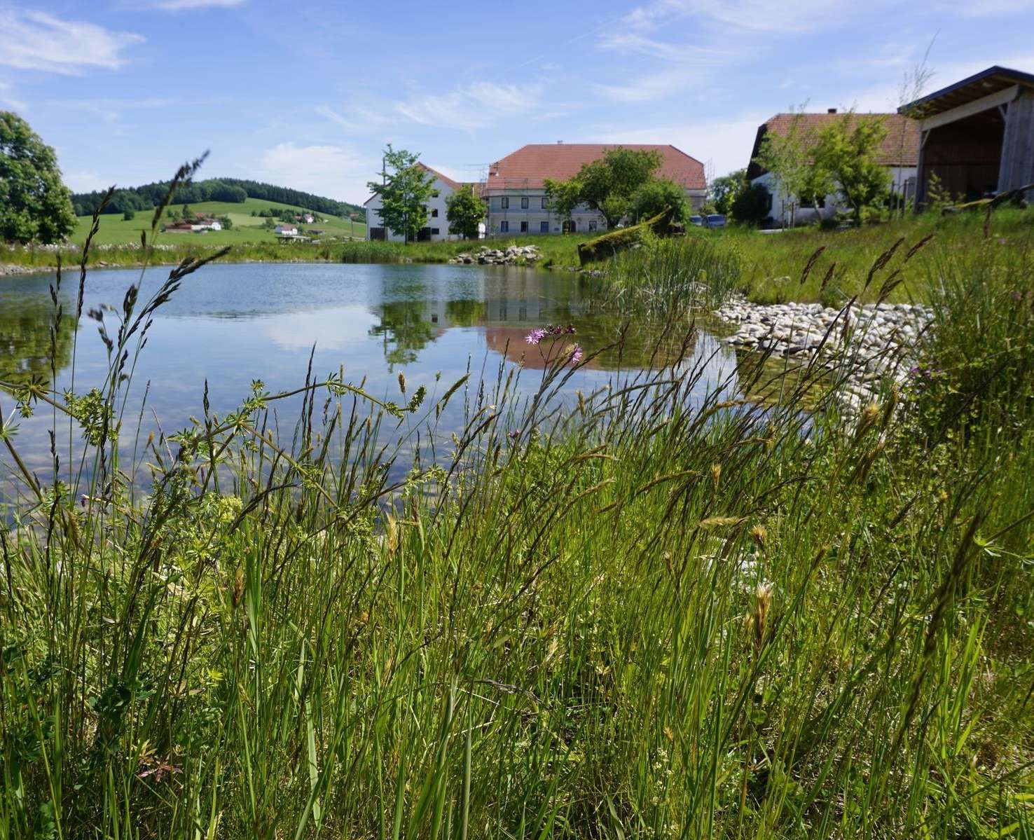 Bauernhof mit Teich.jpg © Sabine Postlmayer