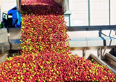 AUSTRIA JUICE GmbH in Kröllendorf.jpg © Agrana