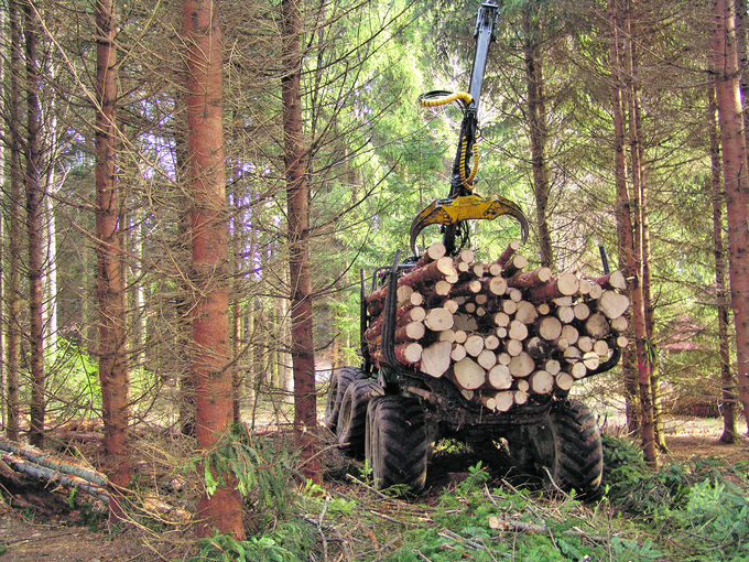 Holzerntesysteme und Wasseraufnahme durch Waldboden untersucht.jpg © Mooslechner Holzerntesysteme und Wasseraufnahme durch Waldboden untersucht.jpg © Mooslechner