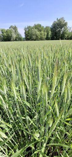 © Petritz/Pesentheiner © Petritz/Pesentheiner