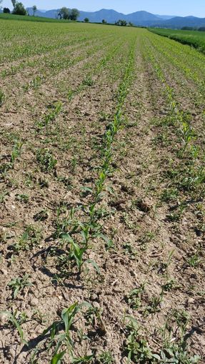 © Petritz/Pesentheiner © Petritz/Pesentheiner