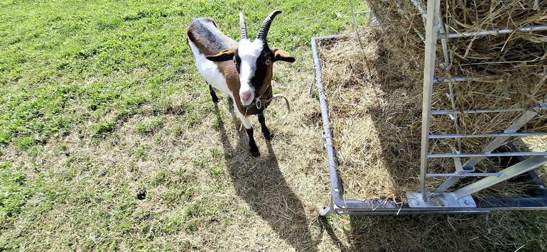 © Petritz/Pesentheiner © Petritz/Pesentheiner