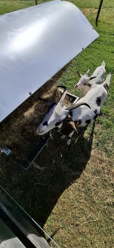 © Petritz/Pesentheiner © Petritz/Pesentheiner