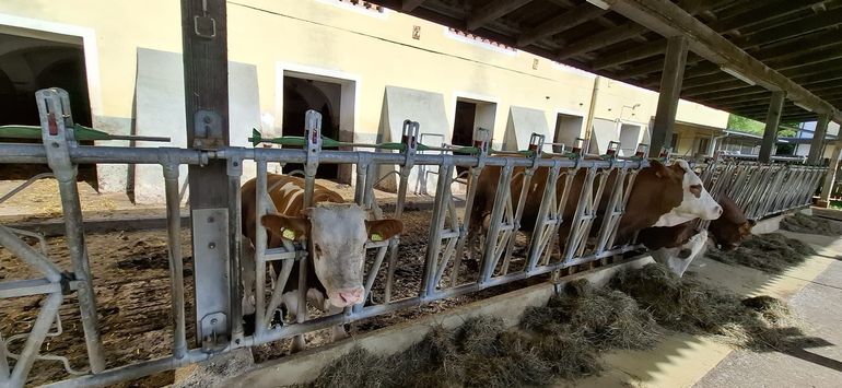 © Petritz/Pesentheiner © Petritz/Pesentheiner