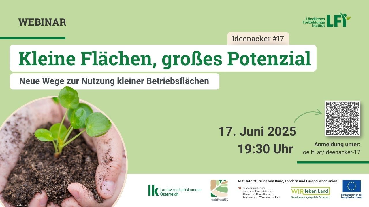 Einladung Ideenacker17 VS.jpg