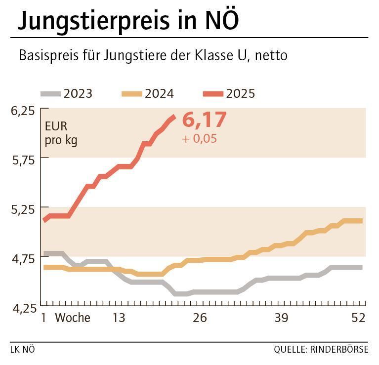 Grafik Stierpreis 22_2025.jpg © LK NÖ