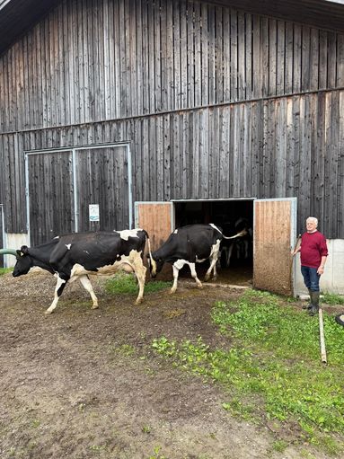 © Verena Köck © Verena Köck