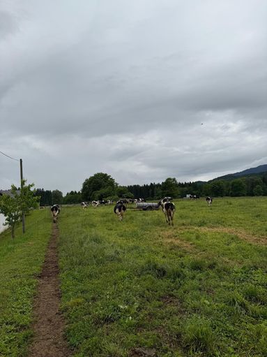 © Verena Köck © Verena Köck