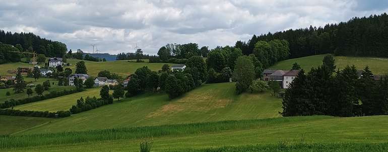 IMG_20250527_112830181.jpg © LK OÖ/Fritscher