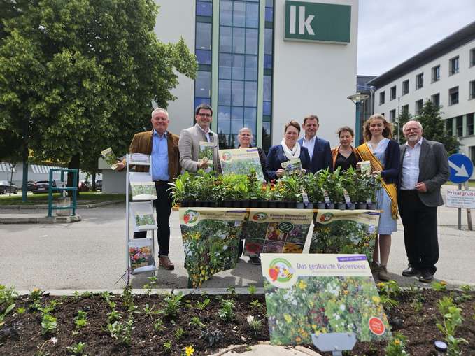 Gepflanztes Bienenbeet_Übergabe an LK NÖ.jpg © Archiv
