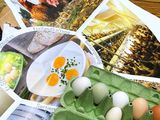 Infoplakat über Eier © Bäuerinnenorganisation Steiermark