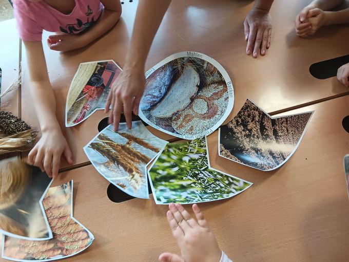 Infoplakat über Brotgetreide mit Kinderhänden © Bäuerinnenorganisation Steiermark