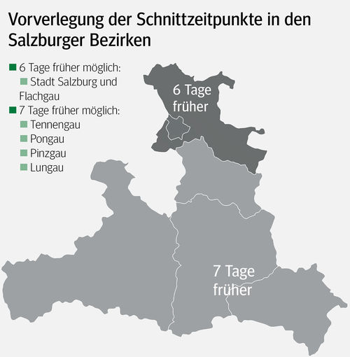 Schnittzeitpunkt.jpg © Archiv