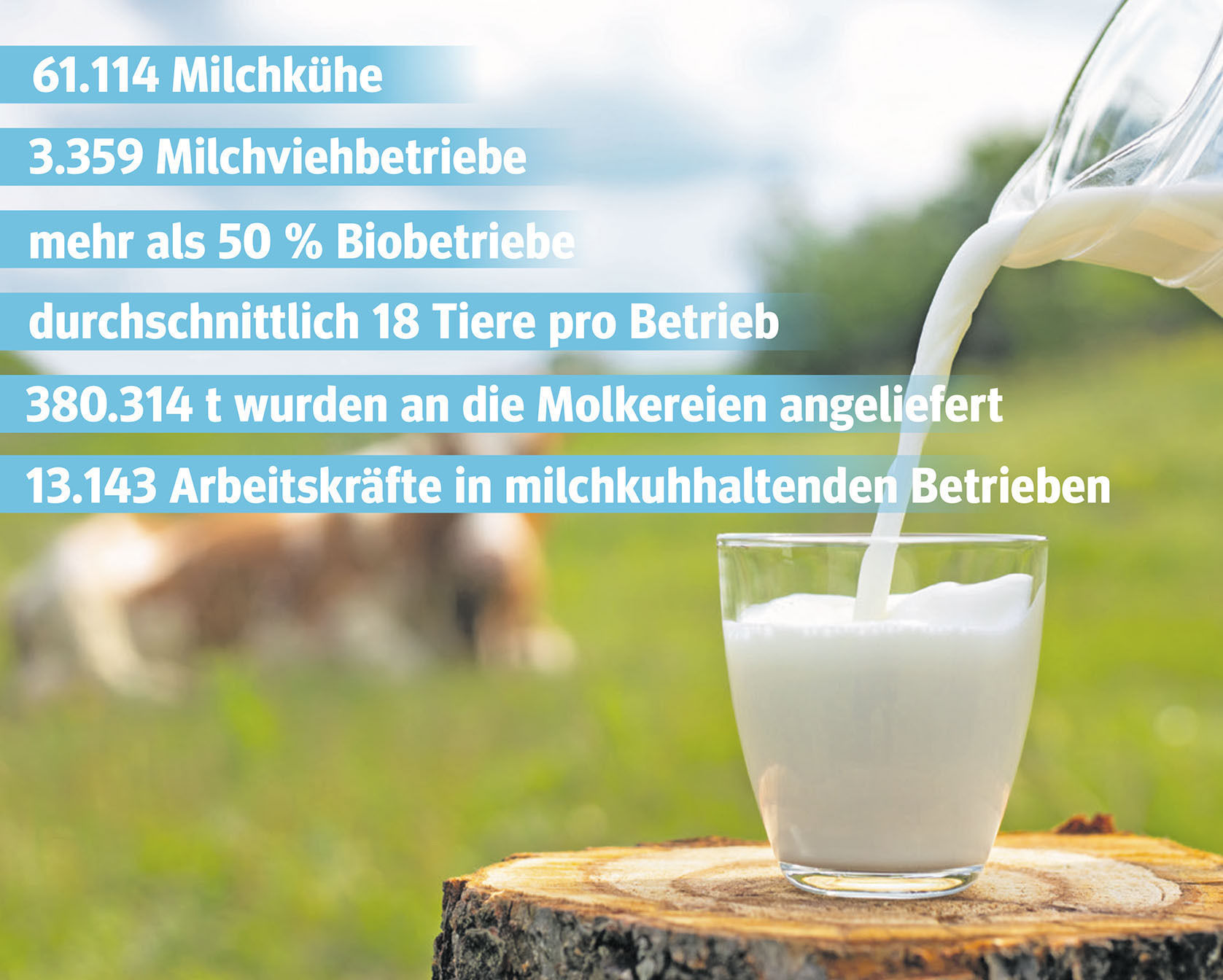 Weltmilchtag.jpg © Archiv