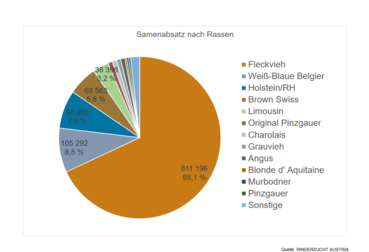 Grafik Samenabsatz nach Rassen 2024.png © Rinderzucht Austria Grafik Samenabsatz nach Rassen 2024.png © Rinderzucht Austria