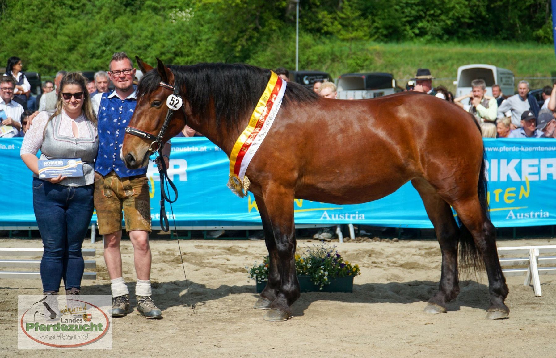 NO_LJS_2025-197 2. Landesreservesiegerin Belladona.jpg © LPZV/Wuzella NO_LJS_2025-197 2. Landesreservesiegerin Belladona.jpg © LPZV/Wuzella
