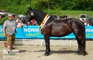 NO_LJS_2025-218 Landessiegerin Monja.jpg © LPZV NO_LJS_2025-218 Landessiegerin Monja.jpg © LPZV