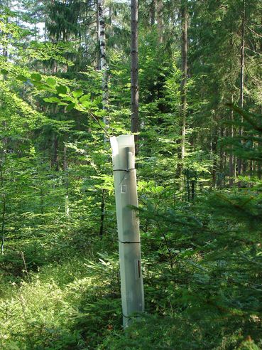 Monowuchssäule (c) Schaschl.jpg © LK Kärnten/Schaschl Monowuchssäule (c) Schaschl.jpg © LK Kärnten/Schaschl