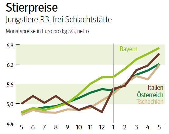 NÖ: Ausblick auf den Schlachtstiermarkt im Juni 2025 © LK NÖ