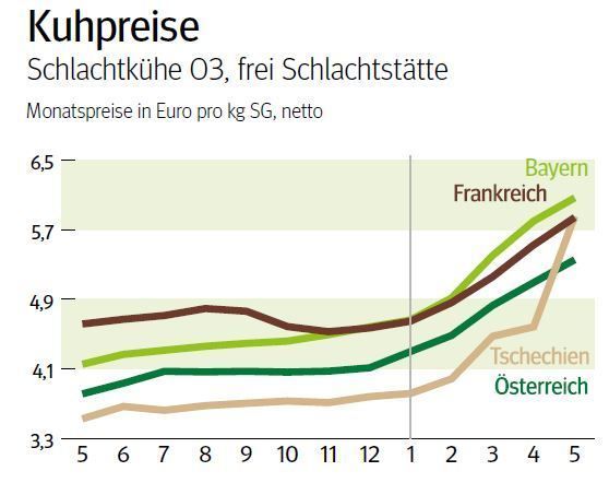 NÖ: Ausblick auf den Schlachtkuhmarkt im Juni 2025 © LK NÖ
