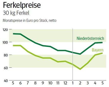 Grafik Ferkelpreise_6_2025.jpg © Archiv