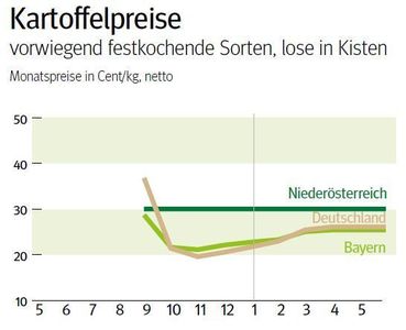 NÖ: Ausblick auf den Kartoffelmarkt im Juni 2025 © LK NÖ