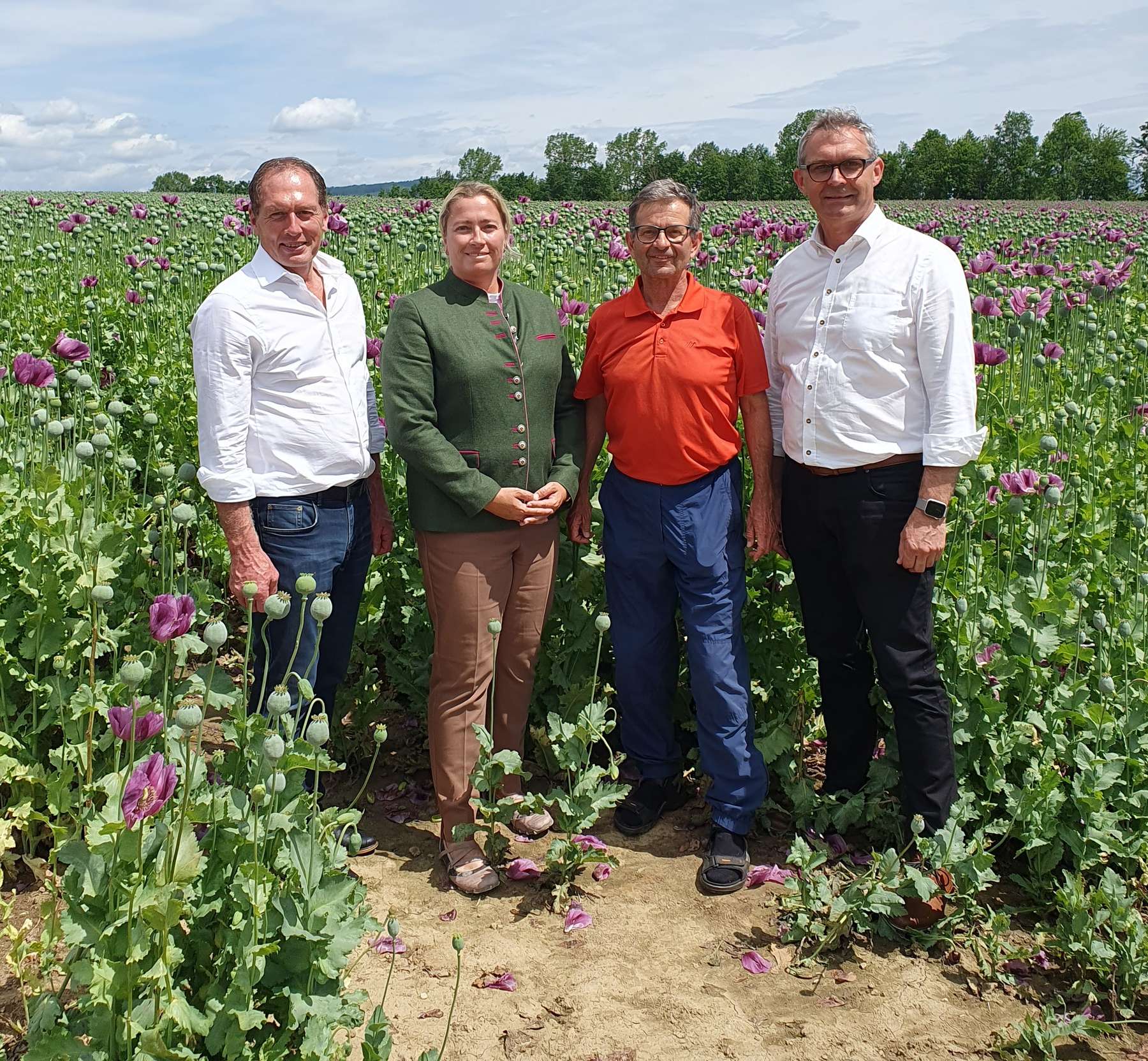 Mohnfeld Moosbrugger, Spachinger, Bohner, Waldenberger.jpg © Jung-Leithner/LKÖ