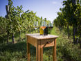 © ÖWM (Österreich Wein Marketing)