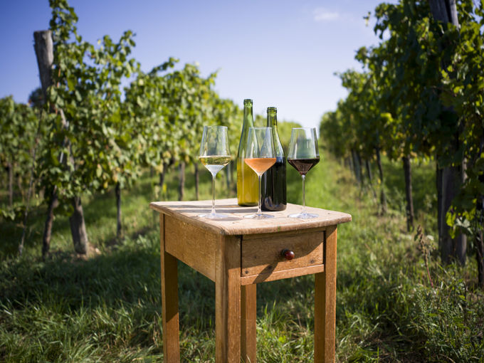 Tag der offenen Kellertür1_ÖWM_klein.jpg © ÖWM (Österreich Wein Marketing)