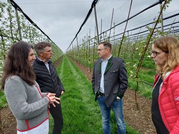 Betriebsrepo_Obstbauern-Familie_Allerstorfer_Bild 3.jpg © LK OÖ/Strebl